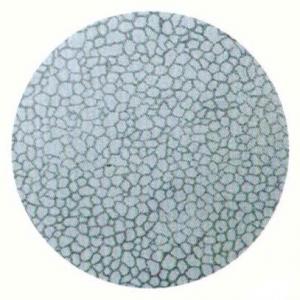 標(biāo)準(zhǔn)金相 奧氏體晶粒度試樣 三種【教學(xué)實(shí)驗(yàn)用】