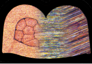 201909211569051293160281.png 201909211569051293160281.png